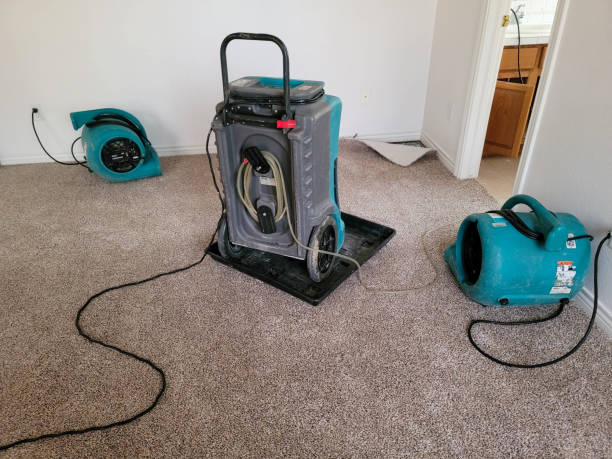  Las Maravillas, NM Water damage restoration Pros