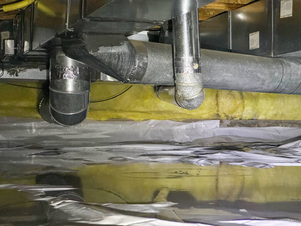 Best Professional water damage repair  in Las Maravillas, NM